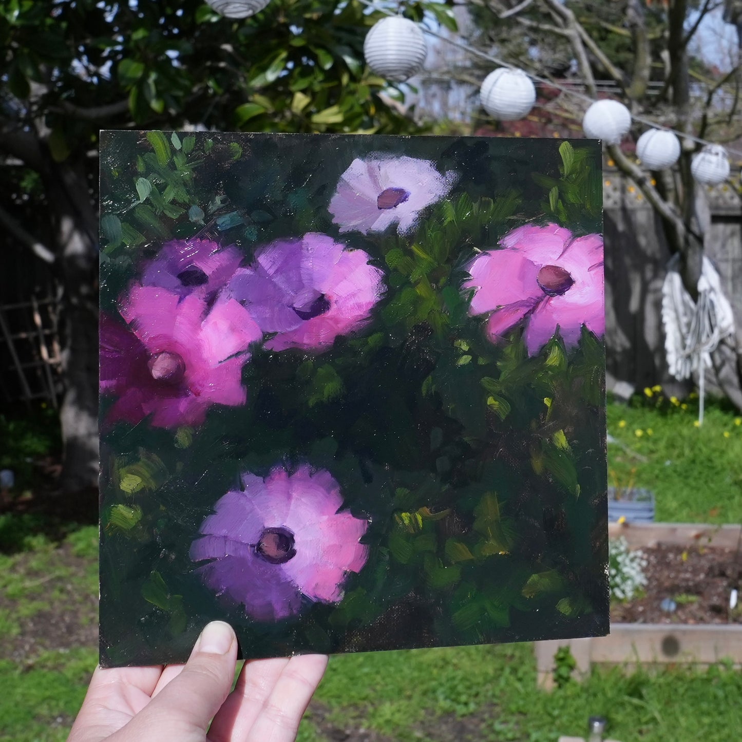 Dusk Daisies 8"x8" original oil painting