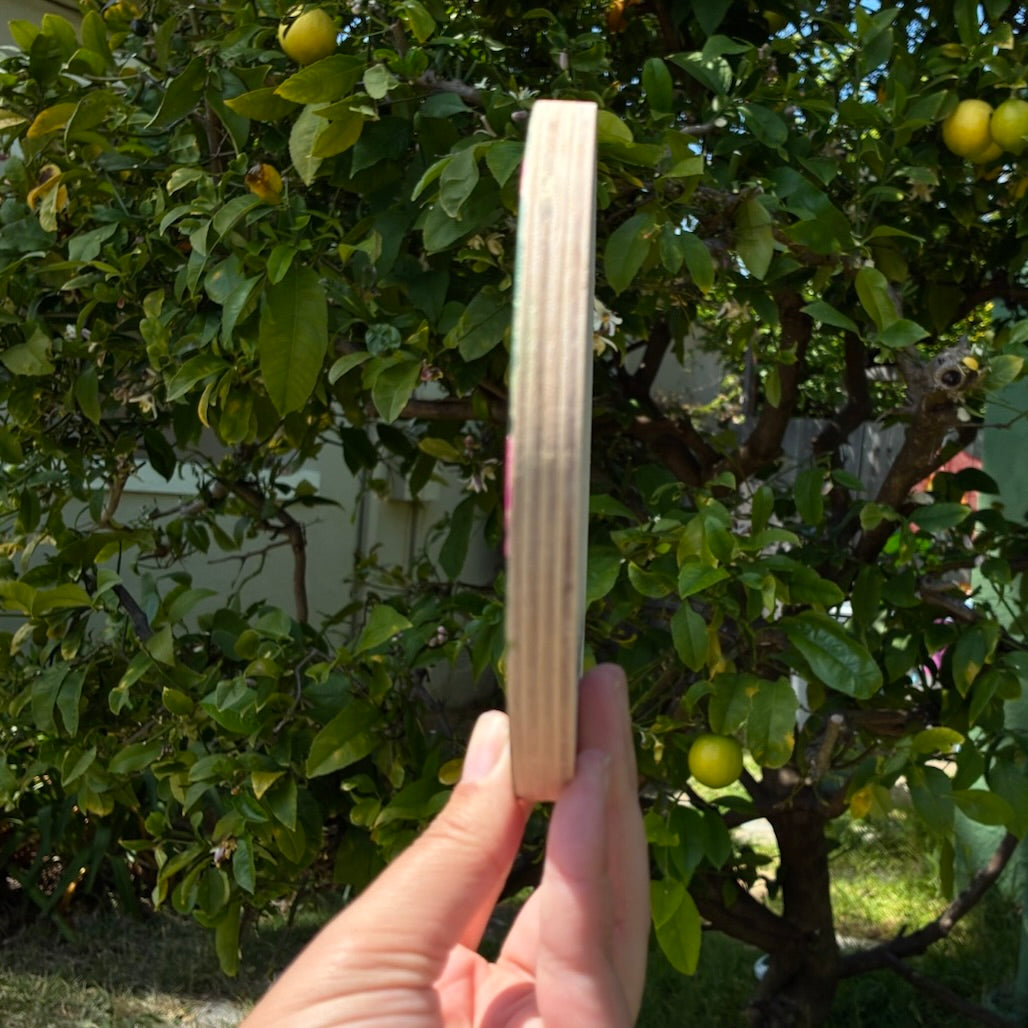 Pink Daisies 5" Original Painting