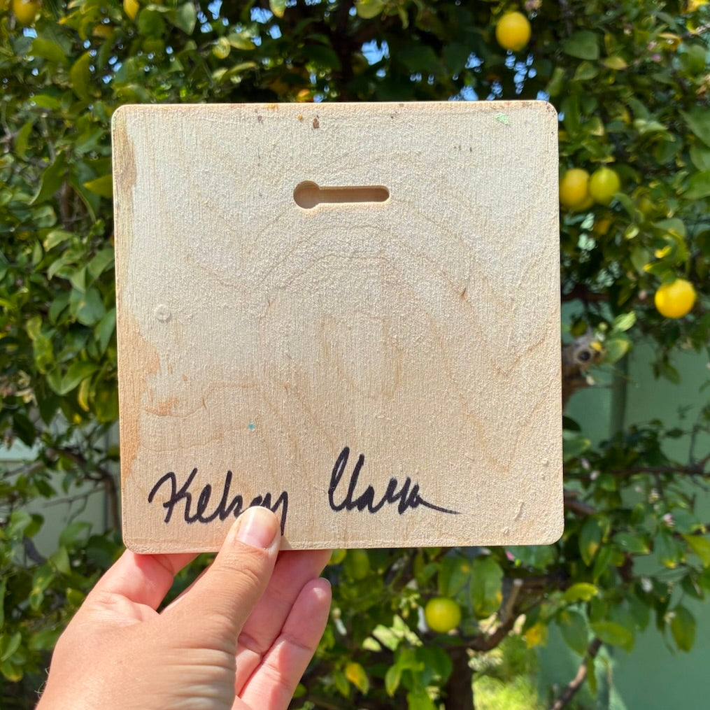 Purple Flower Salsify with Foxtails 5"x 5" Original Painting