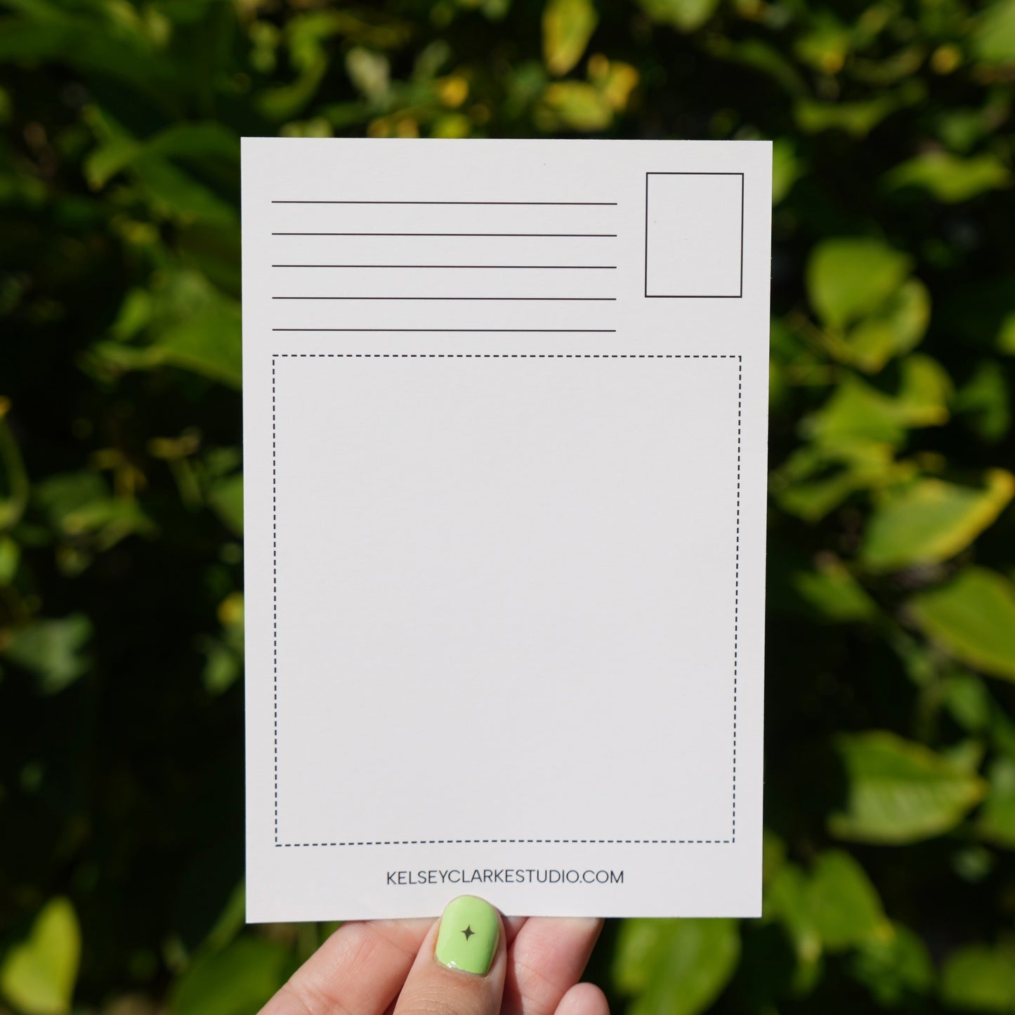 Grandpa's Vincas Postcard - 5 Pack