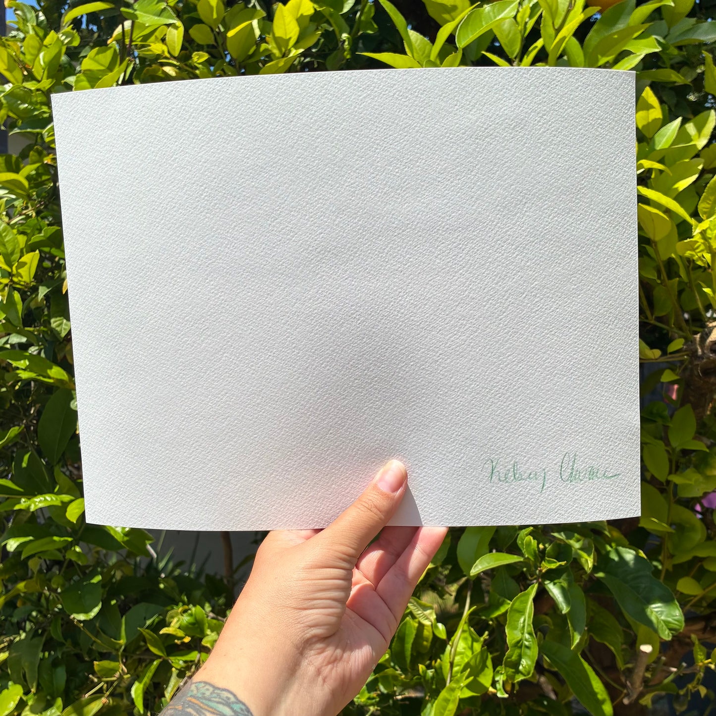 A hand is holding a blank white sheet of paper against a backdrop of green leaves and foliage.