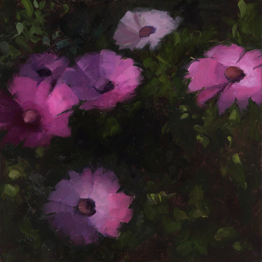 Dusk Daisies 8"x8" original oil painting