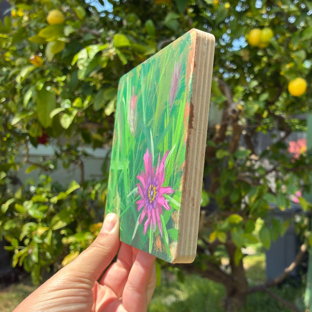 Purple Flower Salsify with Foxtails  5"x 5" Original Painting