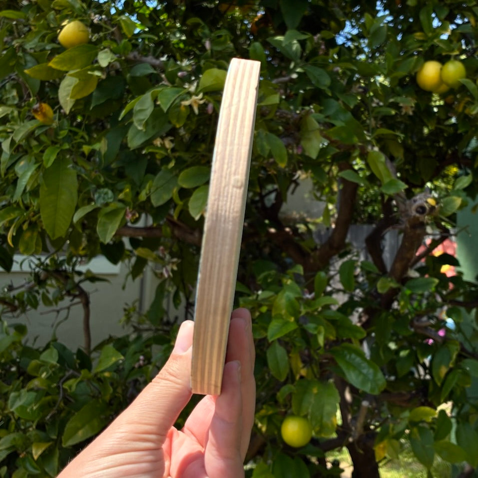 White Daisies 5" Original Painting