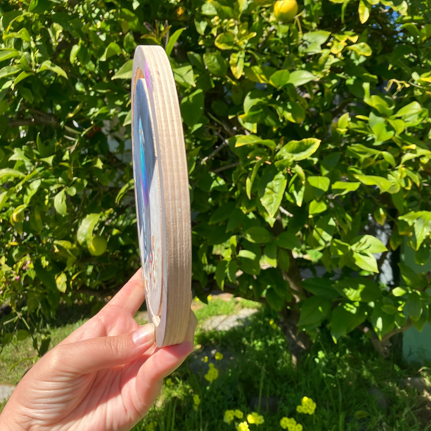 Where I Belong 7.5"  Original painting