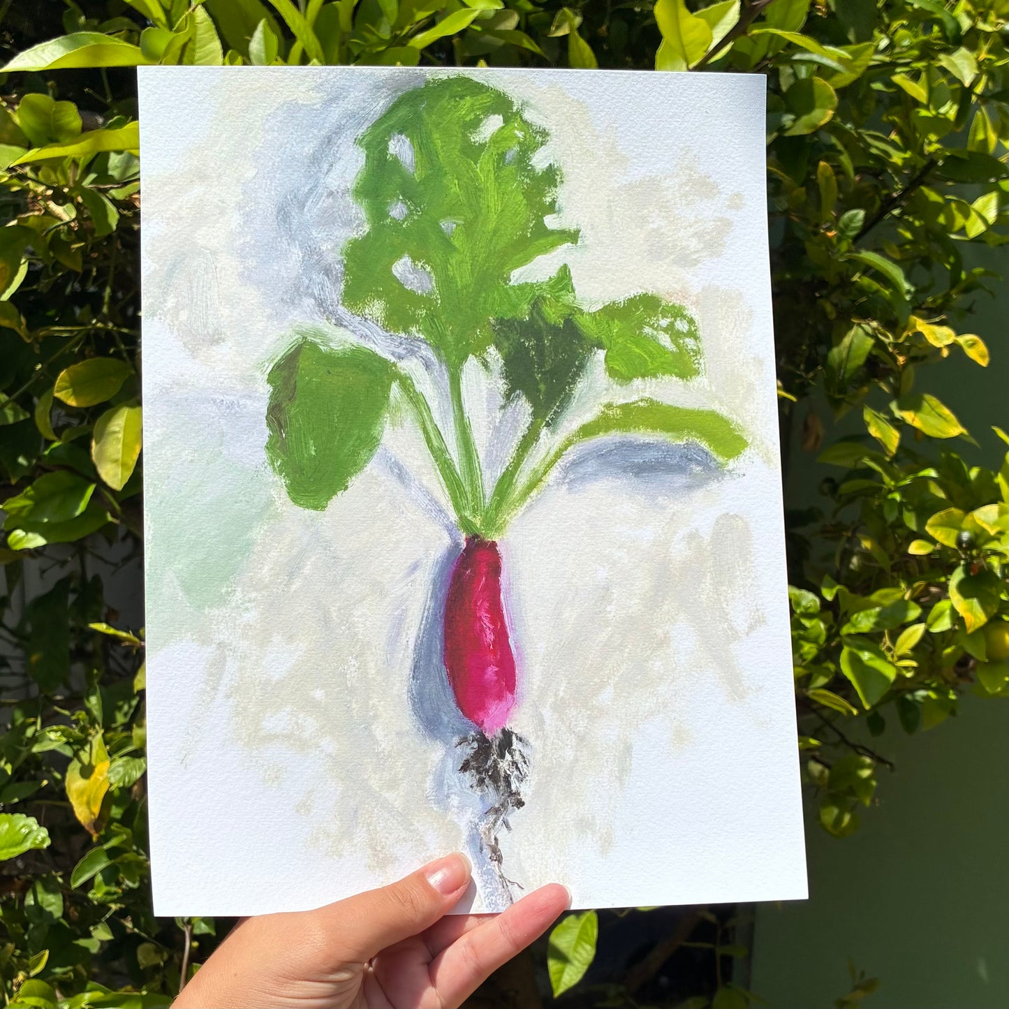 A hand is holding up a painting of a radish against a background of green leaves.