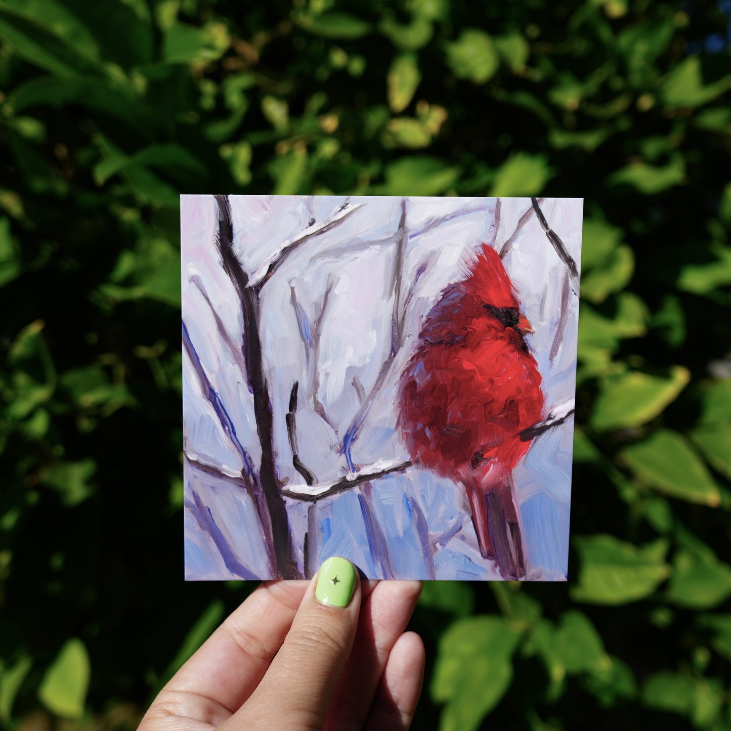 Cardinal Post Card