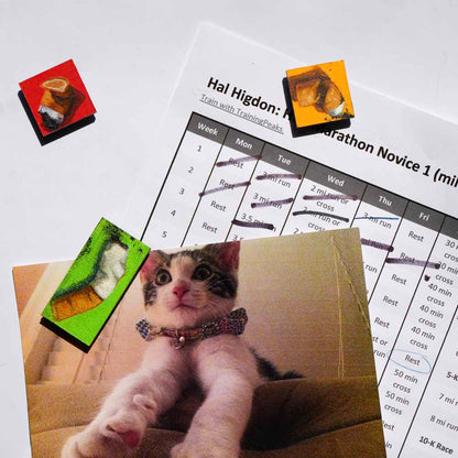 Hand Painted Cigarette Magnet