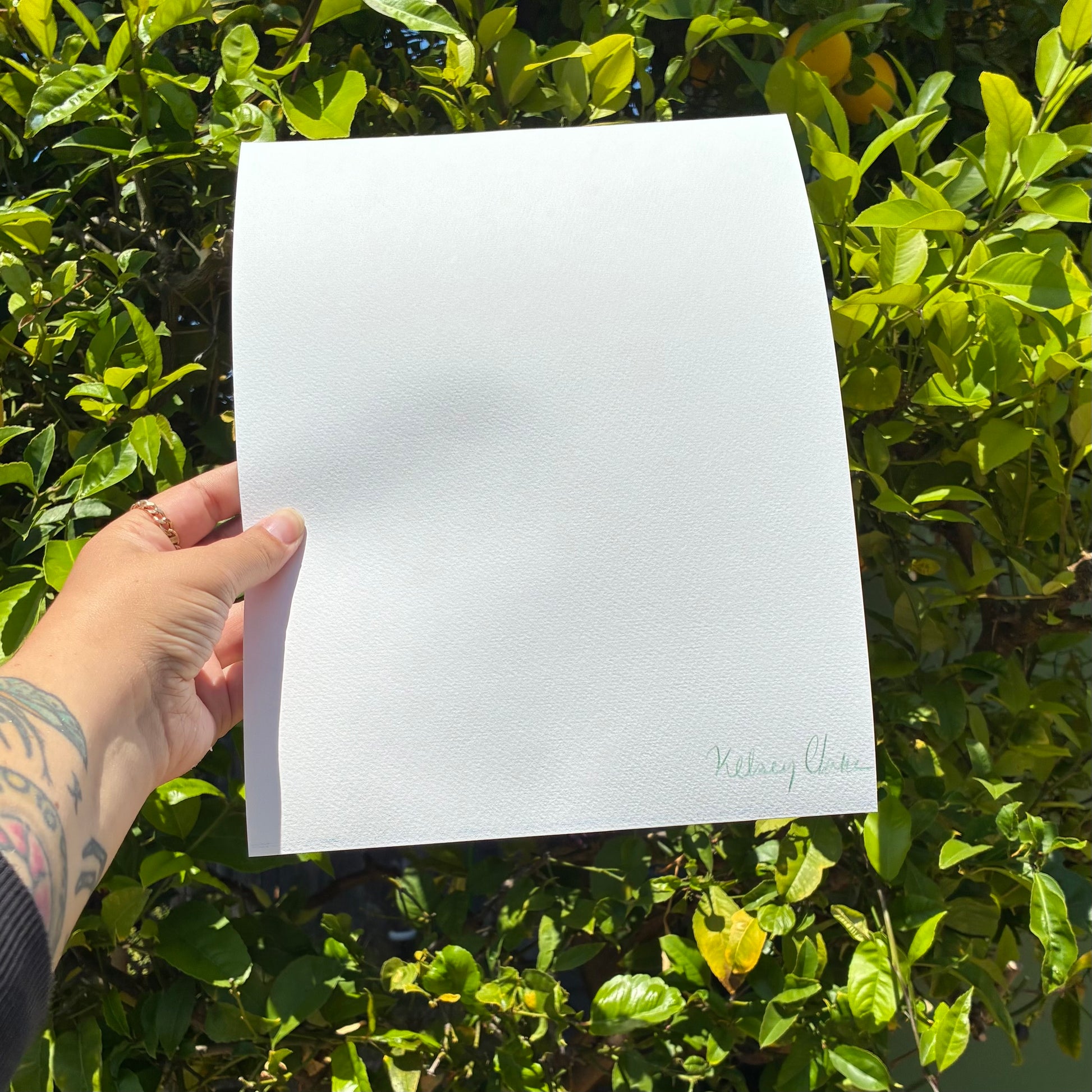 A hand holding a blank white sheet of paper against a backdrop of green leaves and branches.