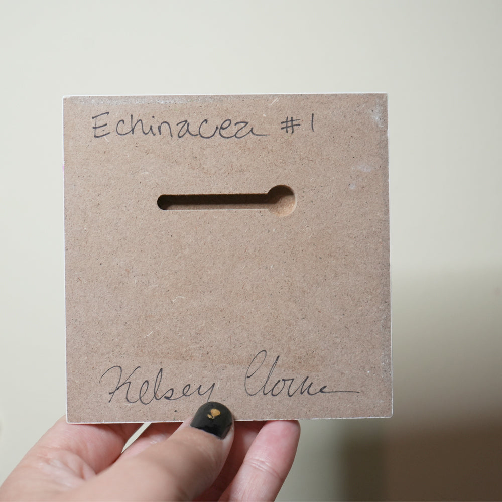Echinacea 4"x4" original painting