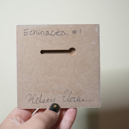 Echinacea 4"x4" original painting