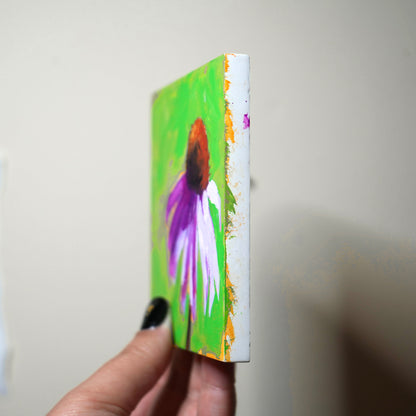 Echinacea 4"x4" original painting