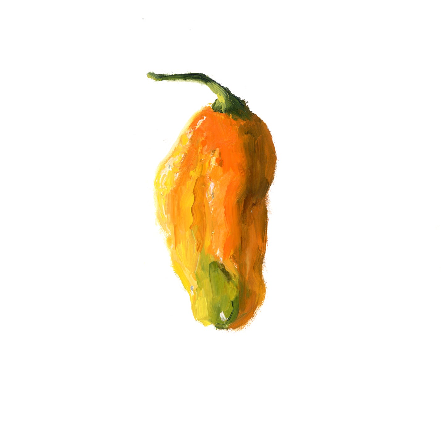 Habanero Post Card