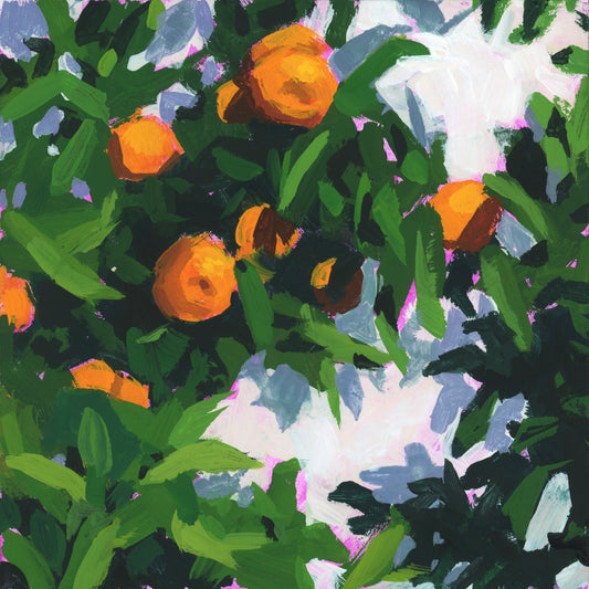 Winter Citrus 5"x5" original painting