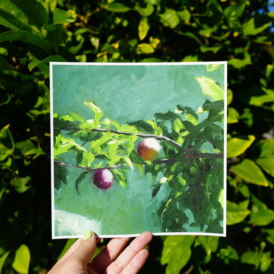 Summer Plums Print