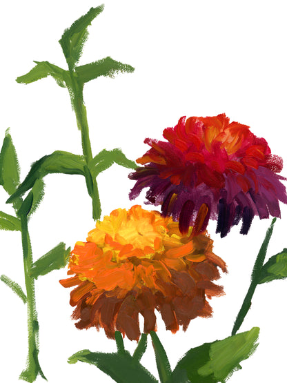 Twin Zinnia Print