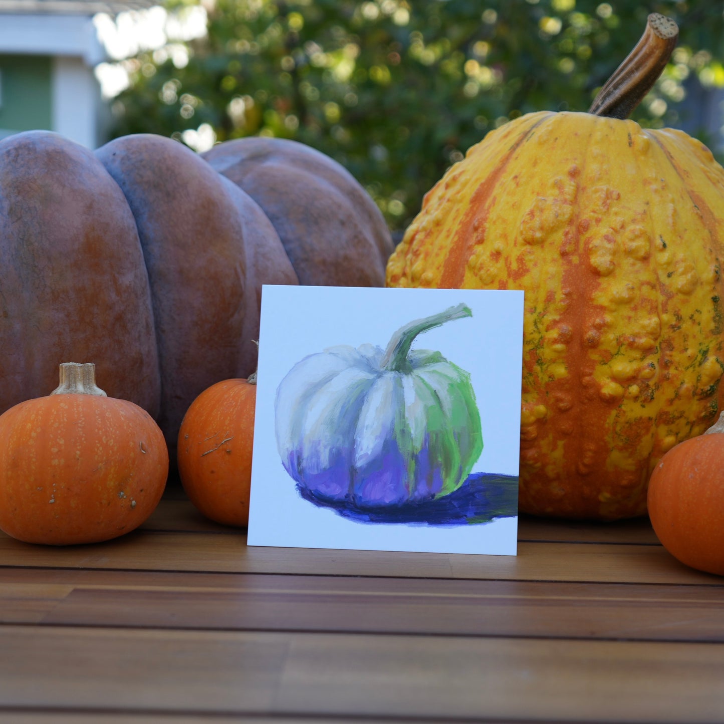 White Pumpkin Postcard